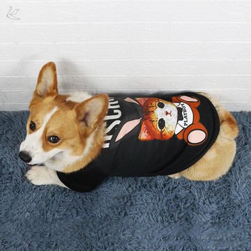 柯基衣服秋冬天狗狗20斤不粘毛四腳加絨加厚中型犬小型犬衣服