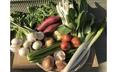 自然栽培野菜10～12品目（3・4月は白米5kg）野菜 米 白米 詰合せ