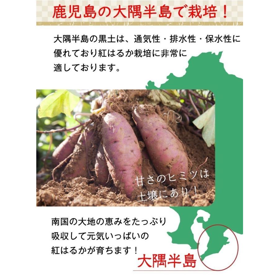 焼き芋 冷凍 紅はるか 冷やし焼き芋 鹿児島県産 Aランク 完熟紅はるか焼き芋 5kg（500g×10袋） 送料無料 クール