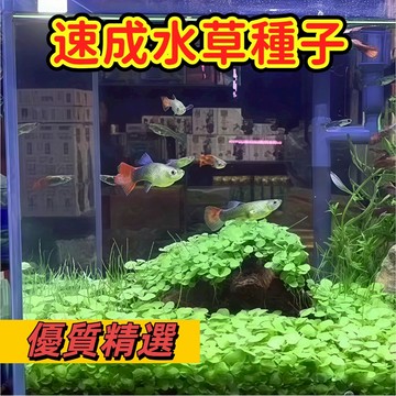 【台灣現貨速發】超多款水草種子｜一週速成綠地毯｜免CO2、免複雜設備｜打造你的療癒水晶缸#魚缸水草#林木花卉種籽
