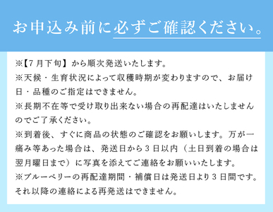 7月～9月発送 甘み際立つ、完熟大粒ブルーベリー 500g（250g×2パック）