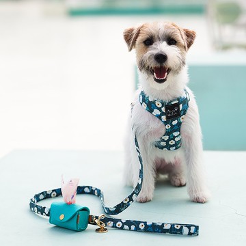 棉質親膚/環繞設計/自在舒適 | 狗胸背-山茶花 Pawsholic爪迷