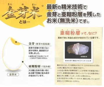 BG無洗米・金芽米きぬむすめ 2kg×6ヵ月 定期便  ［令和5年産 新米］計量カップ無し