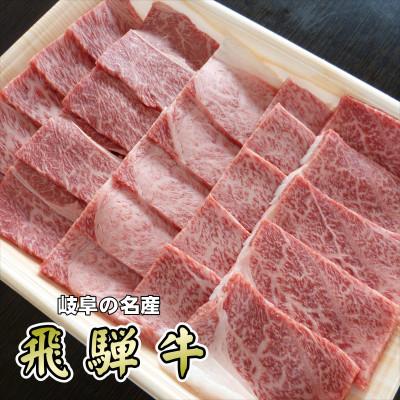 ふるさと納税 揖斐川町 「A5等級」飛騨牛赤身肉焼肉用500g　モモ又はカタ肉