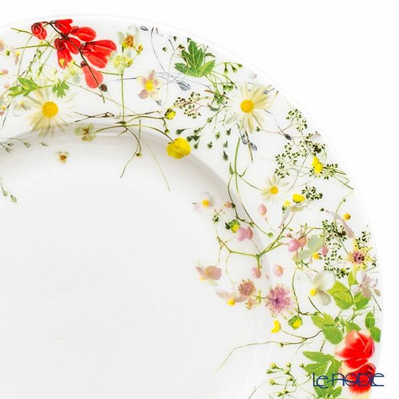 あおの目青子 景色標本 隠花植物No．2