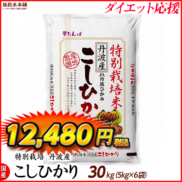 特別栽培米 コシヒカリ 30kg(5kg×6袋) 丹波産 令和5年産 単一原料米