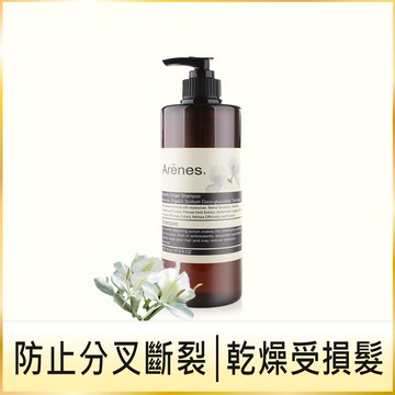 【滿額加購】穗花山奈香氛植萃洗髮露｜修護染燙受損、清新野薑花香氛