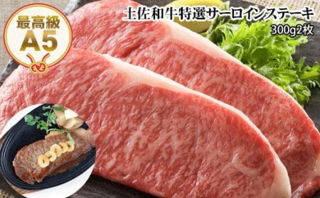 土佐和牛A5特選サーロインステーキ300g×2枚セット　牛肉