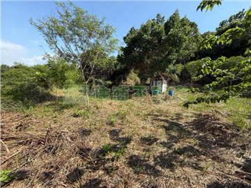 二重溪7.3分便宜美農地｜台南市大內區二重溪