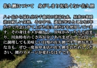 ＜渓流の美味　荒船＞佐久鯉甘露煮詰合せ　鯉料理　冬の味覚　ふるさとの味　正月　川魚　信州　佐久