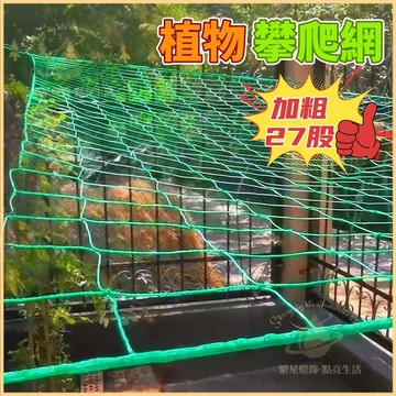 隔日到貨🌳攀藤網【加粗27股】爬藤網 攀爬網 園藝網 絲瓜網 番茄網 植物攀爬網 爬藤網子 植物攀爬網 棚架網 百香果網