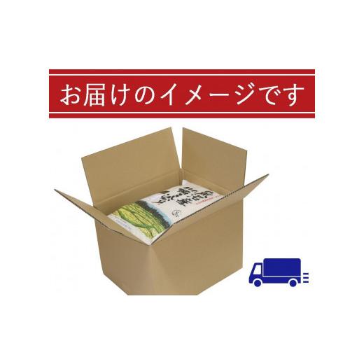 ふるさと納税 新潟県 十日町市 魚沼産川西こしひかり5kg×4　新潟県認証特別栽培米　令和５年度米