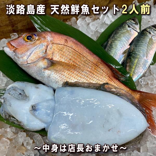 淡路島産天然鮮魚セット2人前