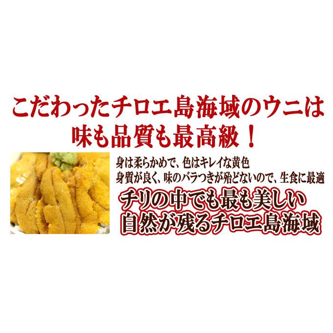 いくら 醤油漬け アラスカ 200g うに 100g 送料無料 福袋 お取り寄せグルメ