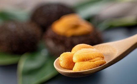 先行予約 羅臼産 折うに 120g 北海道知床羅臼産 天然 エゾバフンうに（特上） UNI-0105