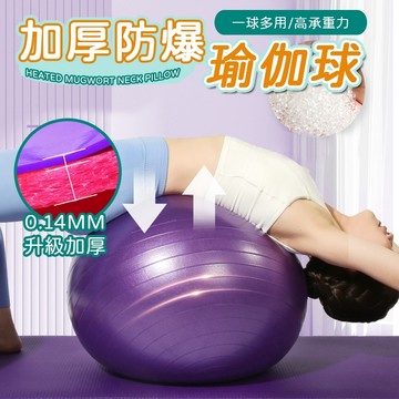 ⚡隔日到貨 附充氣工具 復健球 大龍球 運動球 加厚瑜珈球 普拉提球 感統球 抗力球 韻律球 彈力球 瑜珈球