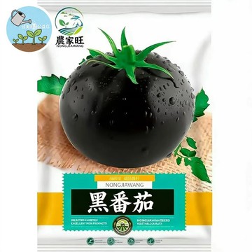【原廠包裝】黑番茄種子 （Black Tomato）黑色番茄  陽台盆栽 生吃料理 獨特風味 台灣現貨  家庭農場