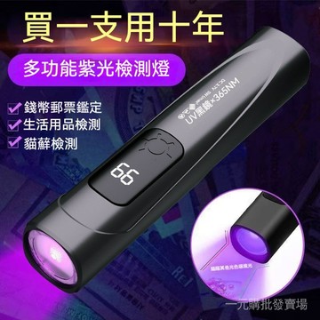 臺灣現貨 紫光燈 紫外線手電筒 驗鈔燈 伍德氏燈 寵物貓蘚檢測燈 玉石鑑定燈 防偽熒光劑檢測筆 便攜充電式紫外燈