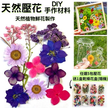 【A-ONE】真花壓花 壓花材料包 滿天星 乾燥花書籤 DIY壓花材料包 精緻包-春光明媚 AA01_廠商直送