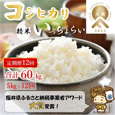 ふるさと納税 あわら市 「いっちょらい」 福井県産 コシヒカリ 精米 5kg 全12回