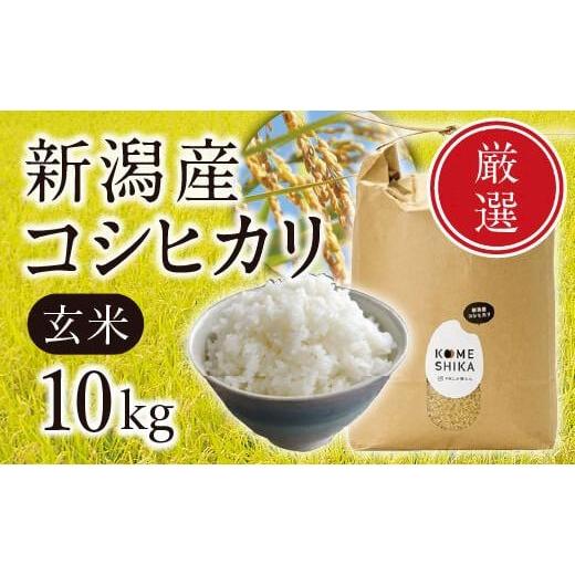 ふるさと納税 新潟県 新潟産コシヒカリ 玄米10kg