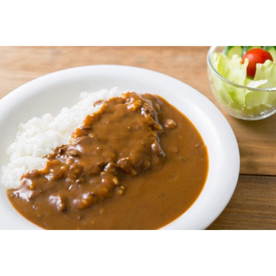 チャンピオンカレー 中辛 180g×5食セット 金沢カレー レトルト