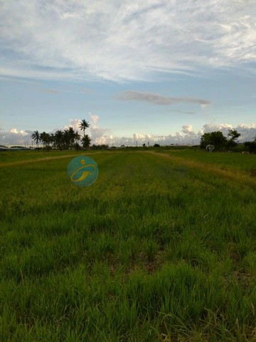 近路科交流道低總價方正農地｜高雄市路竹區社東段
