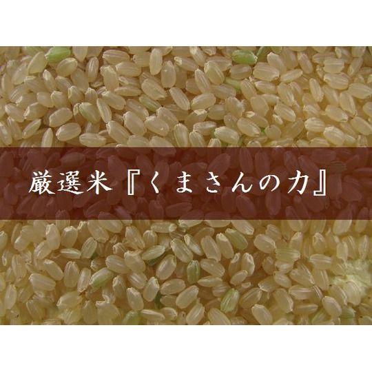 5年産　熊本県産　くまさんの力玄米5kg（調整済み）