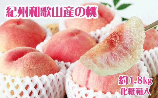 紀州和歌山産の桃　約1.8kg　化粧箱入※2024年6月下旬頃?2024年8月中旬頃順次発送（お届け日指定不可）