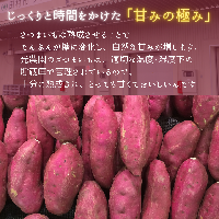  さつまいも 「 紅はるか 」 3kg 芋 いも サツマイモ 焼き芋 やきいも 熟成 農家直送 国産 福島県 田村市 ふくしま たむら 光農園