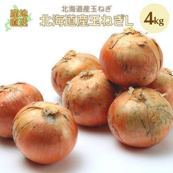 玉ねぎ 4kg L 北海道 たまねぎ 野菜 北海道産 お礼 御祝 お取り寄せ 産直 内祝 玉葱