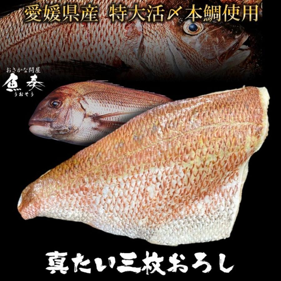 愛媛宇和島  真鯛 約350g〜400g（4〜6切分） 三枚おろし 自社加工 生食OK たい タイ 鯛 タイフィーレ 本鯛 在宅応援 お造り 海鮮鍋  取り寄せ