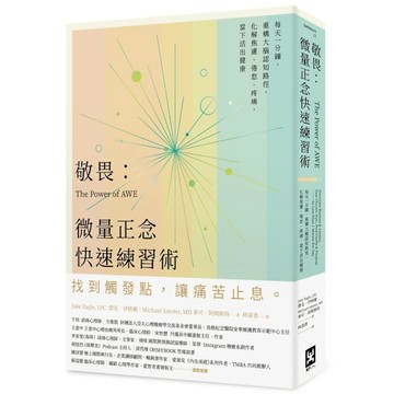 敬畏：微量正念快速練習術【每天一分鐘，重構大腦認知路徑，化解焦慮、倦怠、疼痛，當