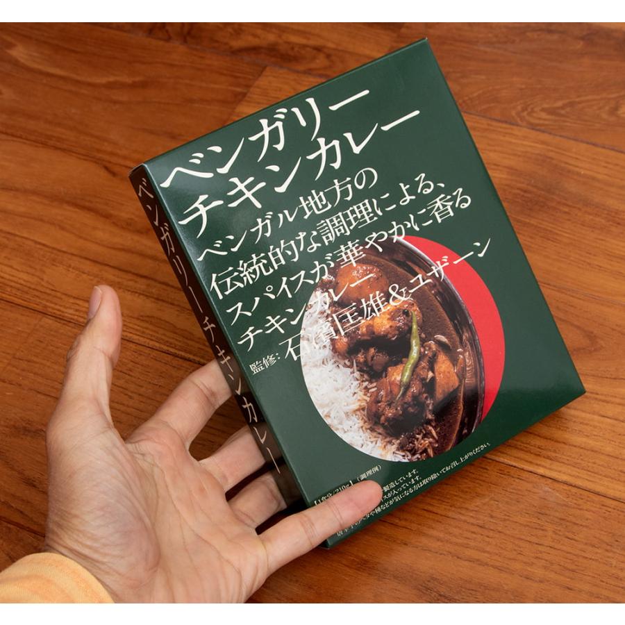 チキンカレー レトルトカレー 中辛 ベンガル 石濱匡雄＆ユザーン 監修 ベンガリーチキンカレー インドカレー