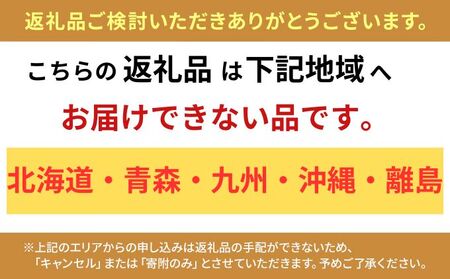 ます寿司 富山 ますの寿し 2段 鱒寿司 ますのすし 鱒ずし 二重 ますの寿司 魚介 海鮮 お寿司 寿司 食品 水産加工品 魚 魚介類 海産物