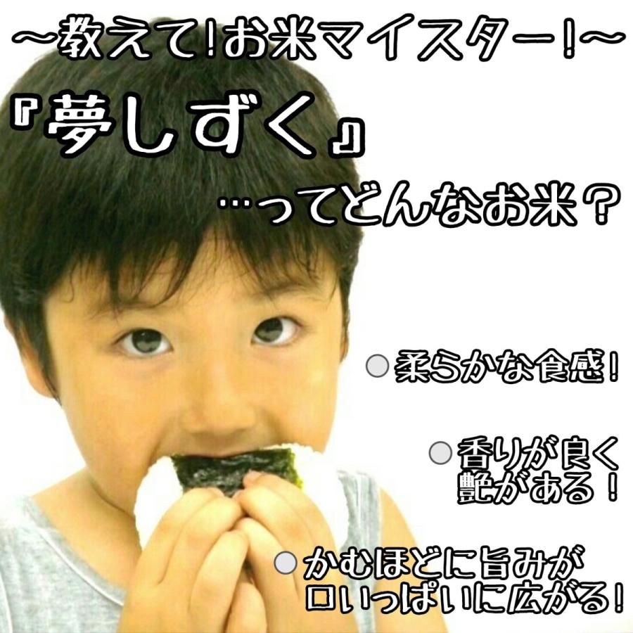 お米　５kg×２袋　特A評価　さがびより　夢しずく　白米　１０kg　お米マイスター厳選　産地直送　佐賀県産　米　精米　送料無料　(一部地域を除く)