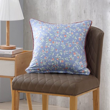 鴻宇 100%美國棉 抱枕 依琳娜(45x45cm)