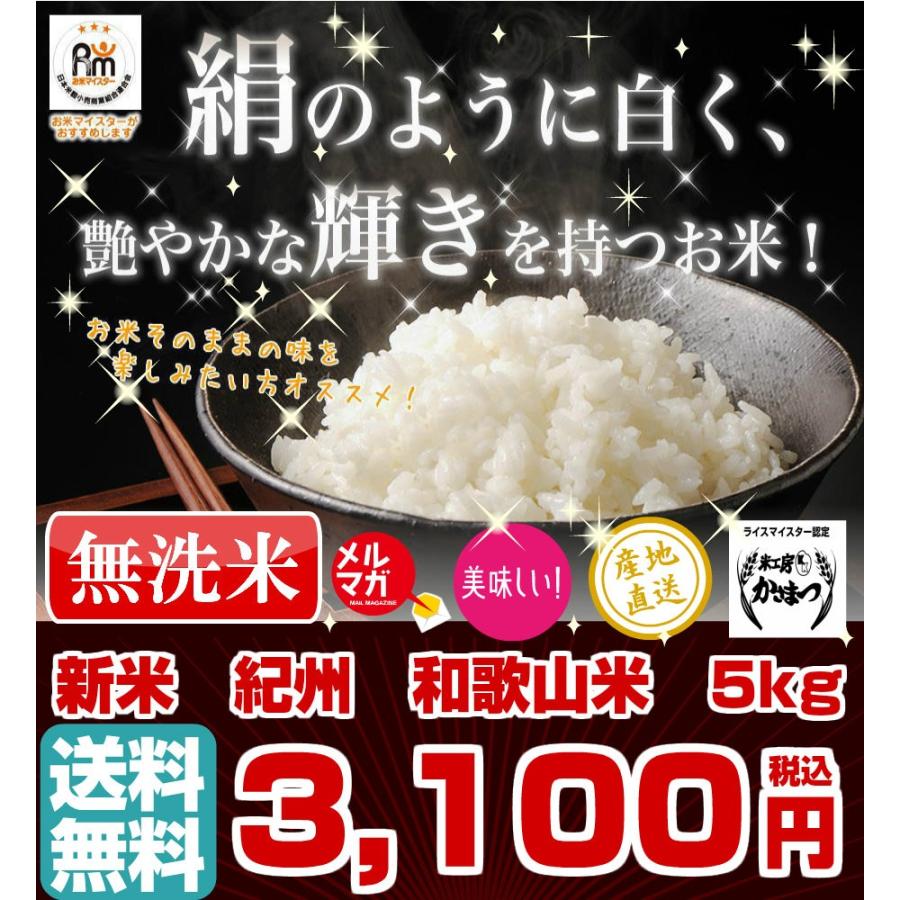 無洗米 和歌山米 5kg 米 お米 和歌山産 新米 白米 玄米 令和3年産 送料無料 和歌山県産 タイムセール