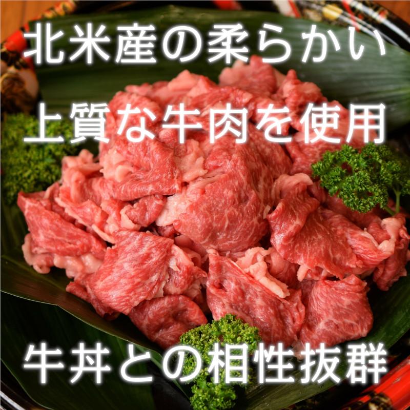 牛丼の素 DX 日東ベスト 185g 20食セット 冷凍 おかず 牛丼 冷凍食品 冷凍牛丼 業務用 牛丼の具 牛めしの具 牛めし 牛肉 肉 肉汁 大盛 特盛 つゆだく 送料無料