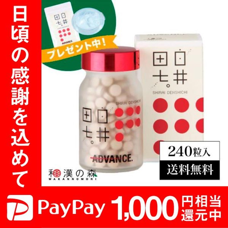 白井田七。２４０粒 ２ヶ月分 新品 - その他