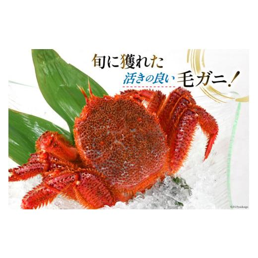 ふるさと納税 宮城県 気仙沼市 ＜先行予約＞かに 三陸産浜ゆで毛ガニ 約500g×3 計1.5kg  [村東商店 宮城県 気仙沼市 20562141] 冷蔵 カニ 毛がに 魚介 海鮮 …