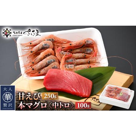 ふるさと納税 お刺身 セット 甘海老 250g × 2P ＆ 本まぐろ 中トロ 100g × 1P .. 福井県越前町