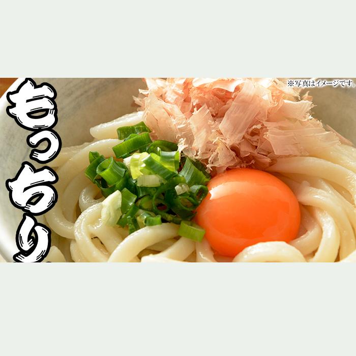 鎌田醤油特製ダシ醤油6袋付き!!讃岐うどん6食分600g（300g×2袋）