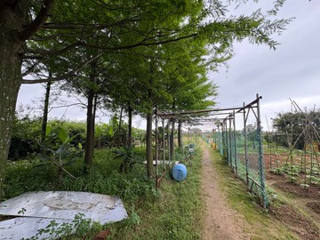 最優值829平坦美農地＋農舍資材室｜新北市三芝區芝蘭段