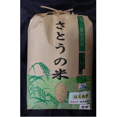 ふるさと納税 山形県 令和4年　山形県産　はえぬき　玄米10kg　特別栽培米
