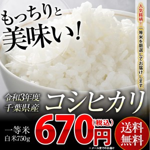 米 お米 送料無料 令和3年産 千葉県産 コシヒカリ 《一等米》 白米 5合(750g)　 ※こちらのお米はメール便でのお届けとなります。