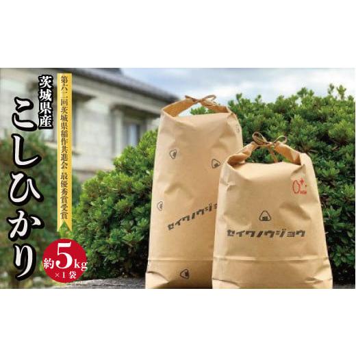 ふるさと納税 茨城県 高萩市 茨城県産 コシヒカリ ５ｋｇ