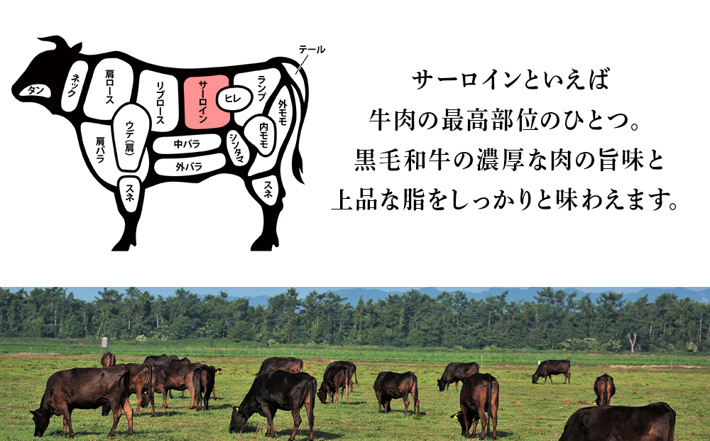 北海道 白老産 黒毛和牛 サーロイン ステーキ 200ｇ×2枚 BS008