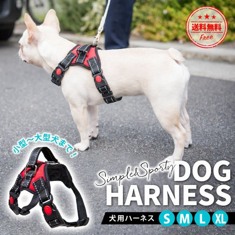 市場 送料無料 ドット ブラック リボン リード 2点セット かわいい ハーネス ドッグ レッド バックル 水玉 ペット用品