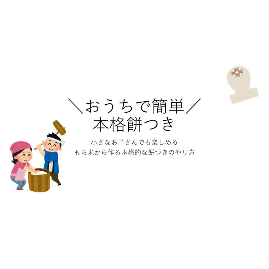 もち米 10kg こがねもち 新潟産 令和５年産 送料無料※地域別